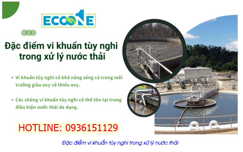 vi khuẩn tùy nghi trong xử lý nước thải